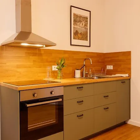 - Couple Apartment Tachov (Plzen)